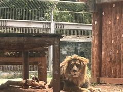 -昆明动物园