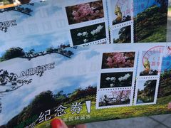 -南山植物园