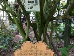 -呀路古热带植物园