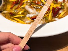 -太二酸菜鱼(汕头苏宁广场店)