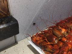 -大红袍川菜馆(总店)