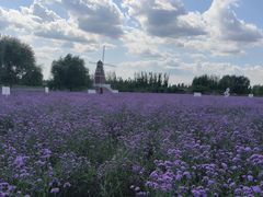 -渔岛海洋度假区