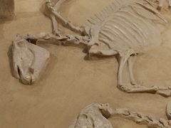 -洛阳周王城天子驾六博物馆