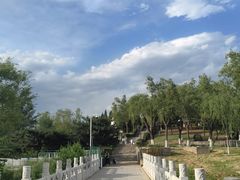 -青龙湖公园