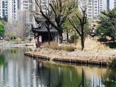 -和平公园