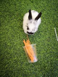 -萌宠亲子动物乐园(槐房万达店)