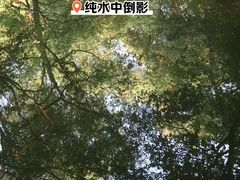 -绮园景区
