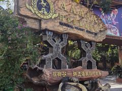 -海南槟榔谷黎苗文化旅游区