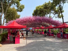 -南汇桃花村