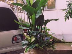 -双季花艺园艺市场(浦东店)