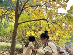 -仁和公园(顺义区)