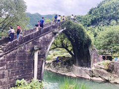 -鹿亭中村