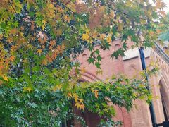 -苏州大学(天赐庄校区)
