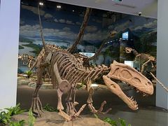 -自贡恐龙博物馆