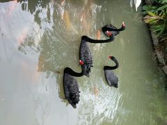 -东部华侨城