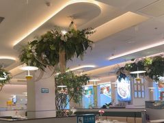 -Aqua Oasis 水天堂(太湖中心mall店)