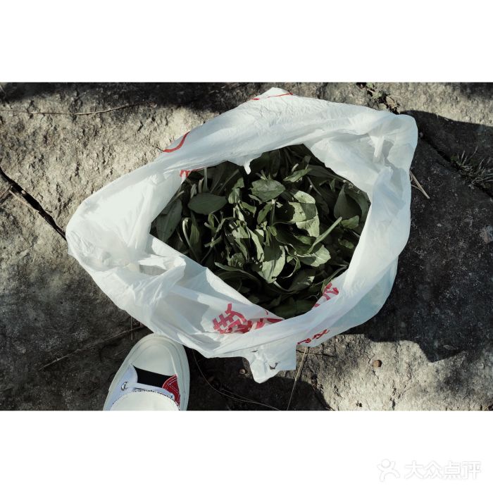 峙山公园图片