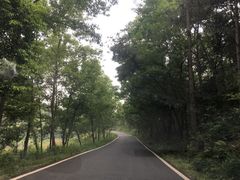 -南京市无想山景区