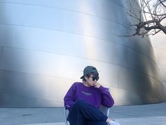 -华特·迪士尼音乐厅