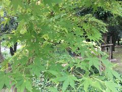 -苏州河梦清园环保主题公园