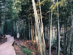 -藏龙百瀑风景区