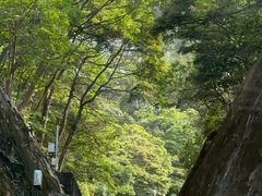 -山顶缆车