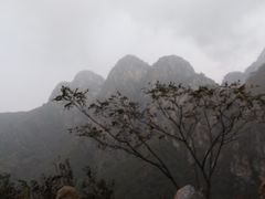 -大连天门山国家森林公园