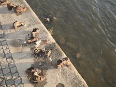 -多瑙河畔鞋履雕塑