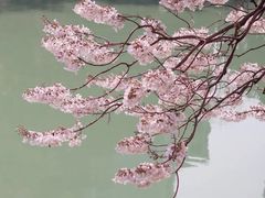 -红星桥(地铁站)