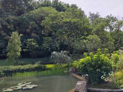 -云溪植物园