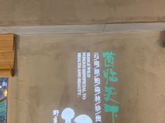 -探窝·竹笙椰子鸡(杨箕店)