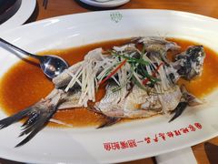 -丹江渔村(望京店)