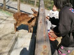 -前小桔亲子创意农场·草莓采摘·露营烧烤