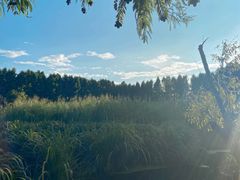 -捞渔河湿地公园