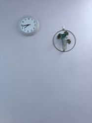 -SILKTONE诗丽堂美容