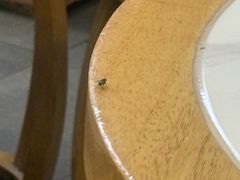 -江记甜品(罗湖店)