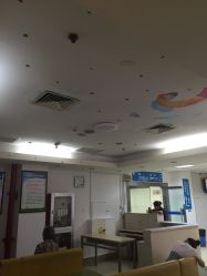 -上海市浦东新区人民医院儿科