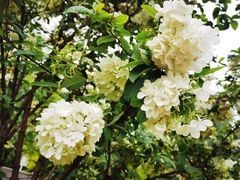 -大龙山(地铁站)