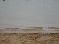 -碧海金沙