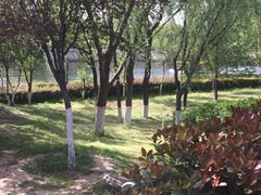 -西安汉城湖景区