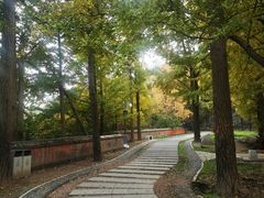 -阳台山自然风景区