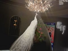 -滇野云南野生菌餐厅(陕西南路店)