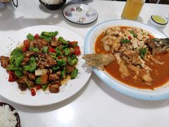 -煲来饱去冷水鱼