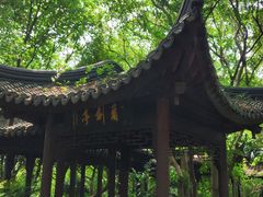 -上海佘山国家森林公园天马山园