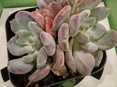 -四季餐厅(华苑店)