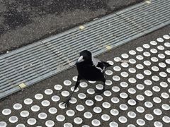 -普芬比利蒸汽火车