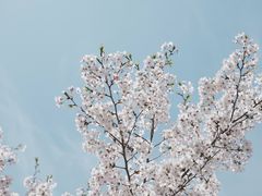 -滴水湖