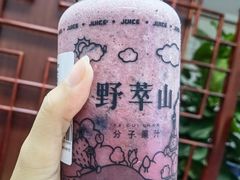 -野萃山·潮汕厚果汁(十亩地店)