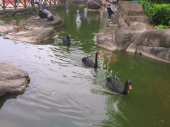 -海合安武汉极地海洋公园