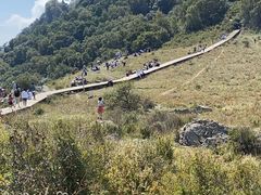 -白草畔自然风景区